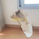 드림스파티움 이미지