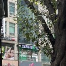 신방동 보드게임 카페 <정글비>후기