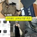 현대이자벨마랑 | [💼] 가방덕후의 가방소개 1탄ㅣ아이패드12.9 /15인치 노트북 들어가는 보부상 가방 추천