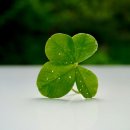 타로상담 이미지