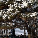남원생태관광숙박시설 | 남원 여행 할인 정보 / 남원누리시민증, 디지털 관광주민증