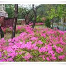 에덴실버요양원 이미지