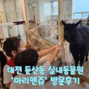 특별한 동물가게 | 대전 둔산동 이색체험, 동물과 교감하는 특별한 공간 ‘마리앤쥬’ 방문기