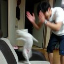[서울 웨딩스냅] 키노스튜디오/한강공원 빛나리 필름 웨딩스냅 후기