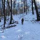 Pine Hill, Harriman State Park (01/20/24) 이미지