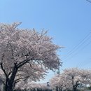 제주리브 이미지