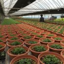 현수농장 이미지