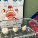 닥터홍치과의원 이미지