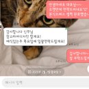 제이스 | 제이스플로라 본식 은방울믹스부케 후기