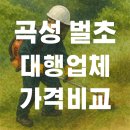 벌초대행업체상록수 | 곡성 벌초대행업체 직접 알아보고 비교한 후기! 비용 시기 총정리