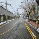 신창부동산 이미지