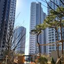 사하코오롱하늘채어린이집 이미지