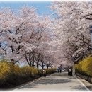 오읍(북산)약수터 이미지