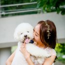 마샬헤어까페 네이버블로그