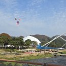 괴산농산물 | 2025년 괴산김장축제 후기 리뷰