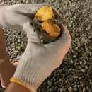 솔펜션 별관 | [ 군산 초원포레 ] 수영장이 있는 독채숙소 / 4개월아기랑 첫여행후기 🏠