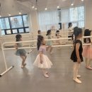 스타발레학원 이미지