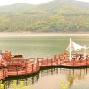 장성호 출렁다리(넘실정) | 장성호 수변길 - 내륙의 바다 위를 걷는 감동! 출렁다리 스릴부터 숲속 힐링까지