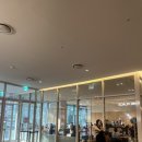 알레그리아 | [판교] 말차라떼 맛집 알레그리아 카페 후기(판교테크원점)