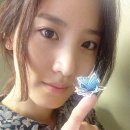 요미당 이미지
