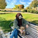 카스타일 이미지