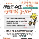 용인대 NO1 태권도장 이미지