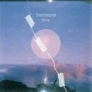 니브 카카오 검색결과