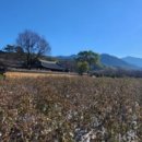 비슬산둘레길 1구간 이미지