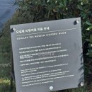 제주 오설록 카페 메뉴 추천 녹차 오프레도 롤케익 녹차아이스크림 말차 슈페너