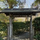 호수카써비스 | 일본 후쿠오카 관광 추천 Yufu 由布市 유후인 + 긴린코 호수 / 스미요시 신사 2박 3일 코스 렌트카 이용