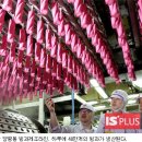 쭈쭈바 이미지