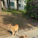 자동차대학 | 정토회 불교대학 청년반 졸업 후기