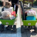 금대에코힐링캠핑장(주차장) 이미지