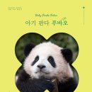 돌베개하우스 이미지