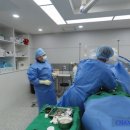 강남챔피언정형외과의원 이미지