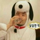 더슈뷰티
