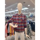 크로커다일레이디 이미지