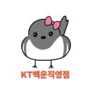 나도 스마트폰 사진작가 | 📱 이 앱만 있으면 나도 스마트폰 사진작가!