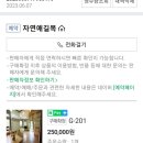 밀양얼음골자연애길목