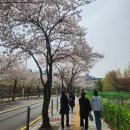 수명고등학교 이미지