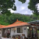 덕구솔밭식당 이미지