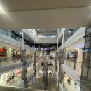 필리핀 세부 쇼핑리스트 / 아얄라몰 메트로 마켓 선물 추천