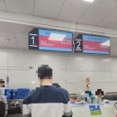 1264 | 아기랑 제주 (4) 대한항공 KE1264 탑승 후기 / 준비서류, 유모차 수화물