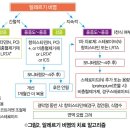 몬테루카스트 vs 프란루카스트 호흡기질환 약물 이미지