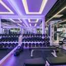 짐샤크 하안점 이미지