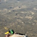 생각커피 | 은평구 분위기 좋은 카페 찾았다… 커피생각 후기