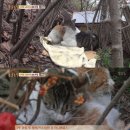 우애농장 이미지