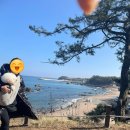 포항시북구36 | 포항 클라우드 나인 가족펜션 후기 복층 36평, 노래방 있는 단독주택 감성 숙소