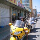 모델다방 Daum카페