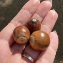 새터근린공원 이미지